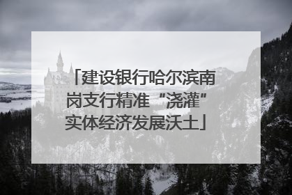 建设银行哈尔滨南岗支行精准“浇灌”实体经济发展沃土