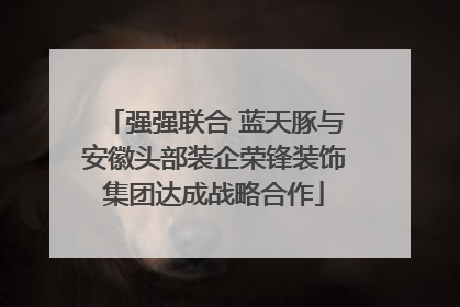 强强联合 蓝天豚与安徽头部装企荣锋装饰集团达成战略合作