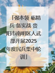 强本领 砺精兵 备实战 贵阳市南明区人武部开展2025年度民兵集中轮训