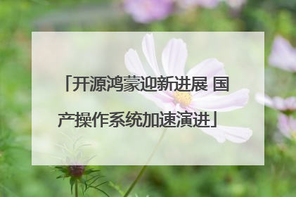 开源鸿蒙迎新进展 国产操作系统加速演进
