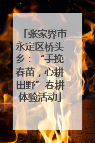 张家界市永定区桥头乡：“手挽春苗，心耕田野”春耕体验活动