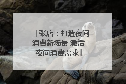 张店：打造夜间消费新场景 激活夜间消费需求