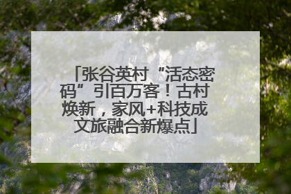 张谷英村“活态密码”引百万客！古村焕新，家风+科技成文旅融合新爆点