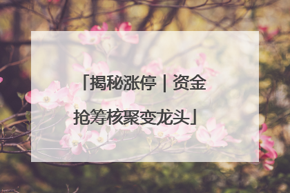 揭秘涨停｜资金抢筹核聚变龙头