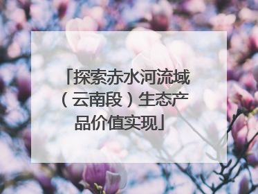 探索赤水河流域（云南段）生态产品价值实现