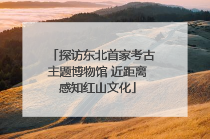 探访东北首家考古主题博物馆 近距离感知红山文化