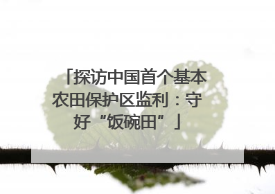 探访中国首个基本农田保护区监利：守好“饭碗田”