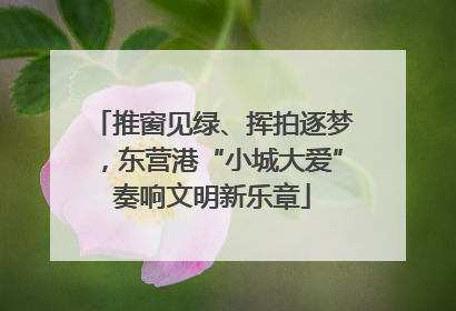 推窗见绿、挥拍逐梦，东营港“小城大爱”奏响文明新乐章