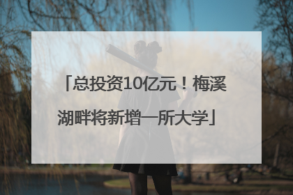 总投资10亿元！梅溪湖畔将新增一所大学