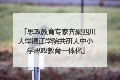 思政教育专家齐聚四川大学锦江学院共研大中小学思政教育一体化