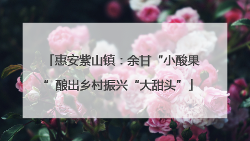 惠安紫山镇：余甘“小酸果”酿出乡村振兴“大甜头”