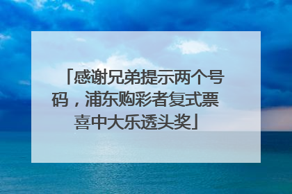 感谢兄弟提示两个号码，浦东购彩者复式票喜中大乐透头奖