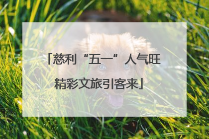 慈利“五一”人气旺 精彩文旅引客来