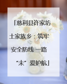 慈利县许家坊土家族乡：筑牢安全防线 一路“未”爱护航
