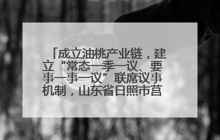 成立油桃产业链，建立“常态一季一议、要事一事一议”联席议事机制，山东省日照市莒县果庄镇——13个党小组“全周期”育果