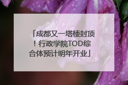 成都又一塔楼封顶！行政学院TOD综合体预计明年开业