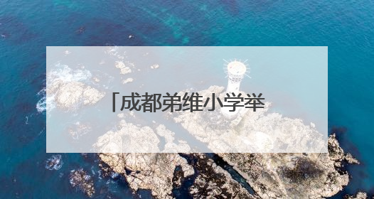 成都弟维小学举行庆“六一”主题活动暨红扣子奖章颁奖典礼