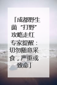 成都野生菌“打野”攻略走红 专家提醒：切勿随意采食，严重或致命