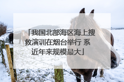 我国北部海区海上搜救演训在烟台举行 系近年来规模最大