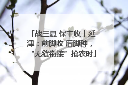 战三夏 保丰收丨延津：前脚收 后脚种，“无缝衔接”抢农时
