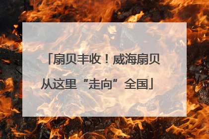 扇贝丰收！威海扇贝从这里“走向”全国