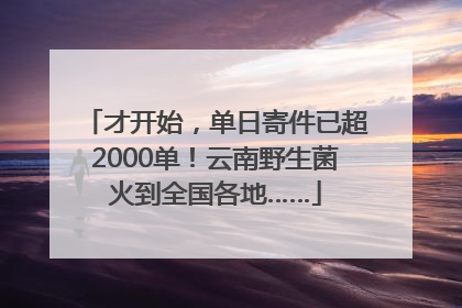 才开始，单日寄件已超2000单！云南野生菌火到全国各地……