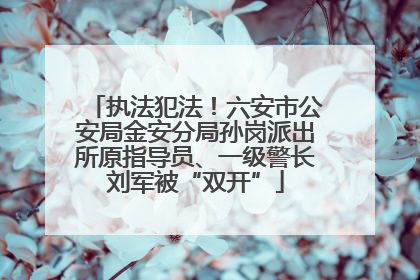 执法犯法！六安市公安局金安分局孙岗派出所原指导员、一级警长刘军被“双开”
