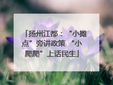 扬州江都：“小摊点”旁讲政策 “小爬爬”上话民生