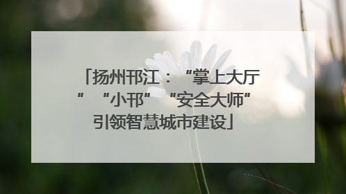 扬州邗江：“掌上大厅”“小邗”“安全大师”引领智慧城市建设