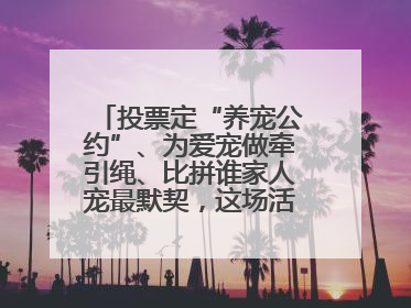 投票定“养宠公约”、为爱宠做牵引绳、比拼谁家人宠最默契，这场活动有趣更有意义