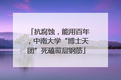 抗腐蚀，能用百年，中南大学“博士天团”死磕覆层钢筋