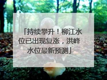持续攀升！柳江水位已出现复涨，洪峰水位最新预测