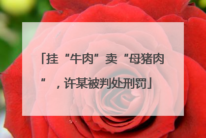 挂“牛肉”卖“母猪肉”，许某被判处刑罚