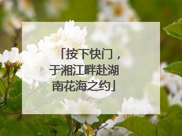 按下快门，于湘江畔赴湖南花海之约
