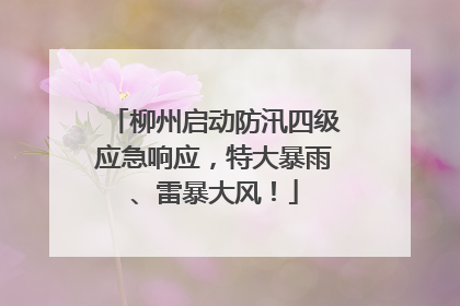 柳州启动防汛四级应急响应，特大暴雨、雷暴大风！