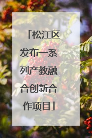 松江区发布一系列产教融合创新合作项目