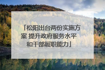 松阳出台两份实施方案 提升政府服务水平和干部履职能力