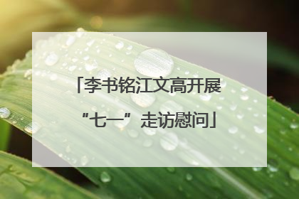 李书铭江文高开展“七一”走访慰问