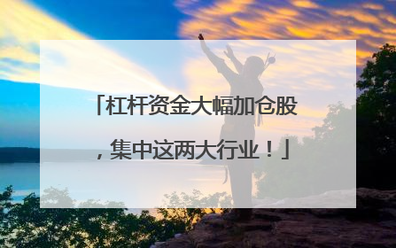 杠杆资金大幅加仓股，集中这两大行业！
