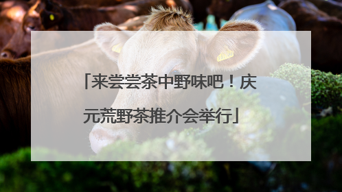 来尝尝茶中野味吧！庆元荒野茶推介会举行