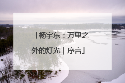 杨宇东：万里之外的灯光｜序言