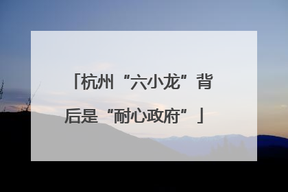 杭州“六小龙”背后是“耐心政府”