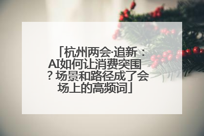 杭州两会·追新：AI如何让消费突围？场景和路径成了会场上的高频词
