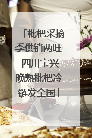 枇杷采摘季供销两旺 四川宝兴晚熟枇杷冷链发全国