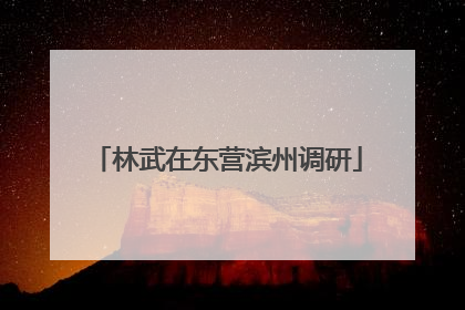 林武在东营滨州调研