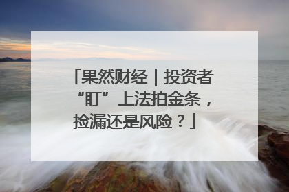 果然财经｜投资者“盯”上法拍金条，捡漏还是风险？