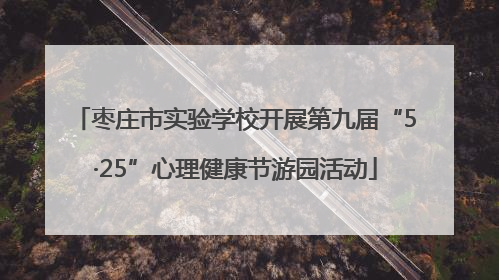 枣庄市实验学校开展第九届“5·25”心理健康节游园活动