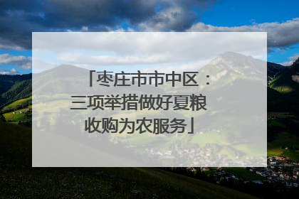 枣庄市市中区：三项举措做好夏粮收购为农服务