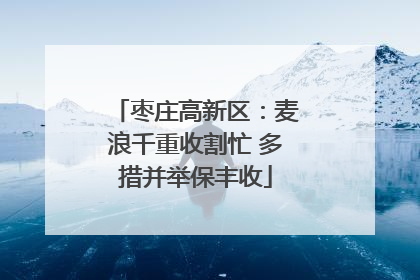 枣庄高新区：麦浪千重收割忙 多措并举保丰收
