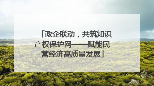政企联动，共筑知识产权保护网——赋能民营经济高质量发展